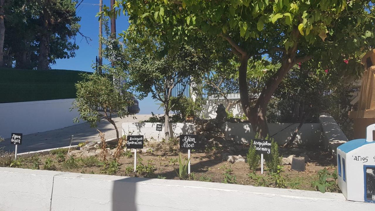Aspro Spiti Hotel Apartments Tigaki Eksteriør billede